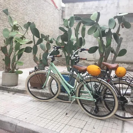 Apartment Sea View With Bicycles And Stand-up Paddle